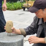 每一隻鳥兒都有著獨特的姿態(tài)和表情，彷彿在述說著它們自身的旅程與故事。