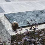 選用基地的石頭來做街道家俱，運用此塊土地生長出來的原石，透過人的創(chuàng)造，分享土地與建築之間的對話及溫暖守護的連結(jié)。 