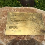 鐵樹(shù)與貓，樹(shù)屋與鳥(niǎo)，彼此共鳴出有溫度的故事，在此地生根萌芽。