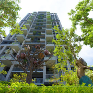 等待風(fēng)起、河畔青青