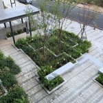 新業(yè)宜家 入口廣場