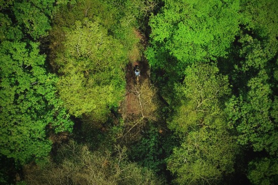 鳥(niǎo)瞰東光園道光景，築森鄰以氧森綠海為伴。