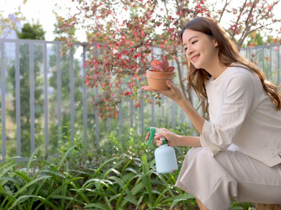 捧起微景，端看大塊美景的縮影。葉片勃發(fā)、欣欣向榮，與『大塊森濤』的靜好歲月相呼應(yīng)。