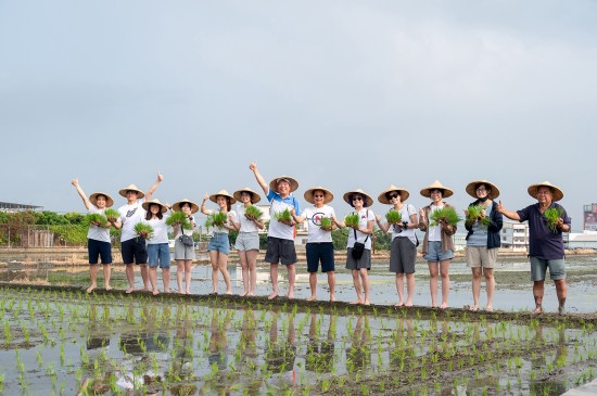 大暑之日，新業(yè)建設(shè)的大家長(zhǎng) 穆椿松名譽(yù)董事長(zhǎng)(右七) 與 卓勝隆董事長(zhǎng)(右六)帶領(lǐng)各部門(mén)同仁，一大清早，來(lái)到契作認(rèn)養(yǎng)的霧峰田間，體驗(yàn)農(nóng)家插秧盛事。
