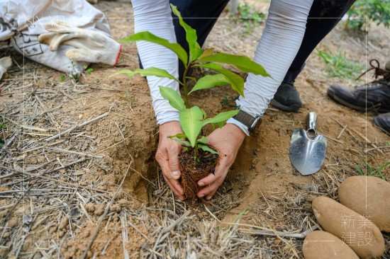 由新業(yè)建設(shè) 卓勝隆 董事長(zhǎng)種下新業(yè)團(tuán)隊(duì)的第一棵小樹苗，滿懷心中希冀，期盼平安順利長(zhǎng)大，為大肚山增添另一份生機(jī)。