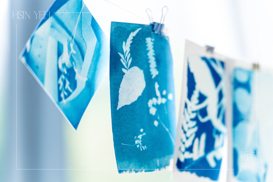 將明信片一字排開，藍(lán)與白的濃淡交織，映照出每位住戶獨(dú)特的創(chuàng)作築跡。