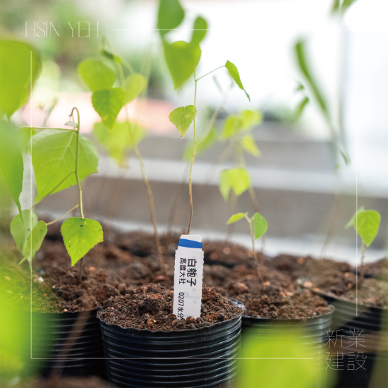 『臺灣山林復育協(xié)會』，核心目的是推動本土的生態(tài)教育，進行自然棲地的保護，在地種源的復育，及推動廢耕山坡地順應演替復育為自然森林的工作。