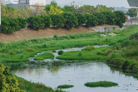 蜿蜒的筏子溪與新業(yè)做鄰居已經(jīng)有一段年月，縱長的河道是小魚小蝦們的家，讓我們一起保護(hù)牠們的家園，付出行動(dòng)愛地球。