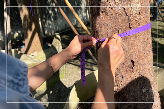 選定每棵樹木後，會在樹幹繫上綁樹帶做為紀錄，堅持尋樹的原則，維持護樹的理念，保持愛樹的心。