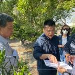 即使是一棵樹的規(guī)劃，也需方方面面、適居適所，為住戶帶來(lái)最能契合生活的好鄰居，打造自在森活的綠意空間。