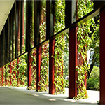 Oasia Hotel Downtown（Oasia酒店）外觀