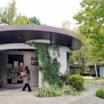 綠蔭盎然、四年的照護，讓爬藤植物悄悄包覆在「新業(yè)書席」之上。此次參與鐵道文學特展，書席新增鐵道文學主題書籍，讓大家也可以一覽鐵道之美。