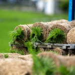 一捲捲的秧苗捲，像極抹茶瑞士捲，捲秧苗也是一門(mén)學(xué)問(wèn)，彎著腰把有重量的苗卷一左一右的放置，為了方便搬運(yùn)不壓壞秧苗，層層疊疊，也方便後續(xù)秧苗機(jī)的使用。