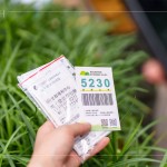 當(dāng)天新業(yè)職人們不只親力親為的為大肚山種下希望的樹苗，也捐出發(fā)票，為臺(tái)灣淺山森林再出一份力，也邀請(qǐng)更多的人一起關(guān)注 ＃我愛山林_5230。