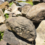 每一顆石頭背後乘載無盡的歲月，塵土與大地的繾綣，風吹水流，留下獨特紋理、歷史刻痕，堅毅的外殼更富含著溫柔的故事。