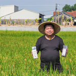 支持霧峰在地三代小農(nóng)－翁良材先生，企業(yè)化的經(jīng)營模式，堅持品質(zhì)、嚴(yán)選品種，讓稻田直達(dá)餐桌，品嘗最純粹的米香。