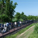 南勢(shì)溪集水面積約9.53平方公里，水質(zhì)良好，周圍仍保留自然生態(tài)風(fēng)貌，水利局打造1.8公里長(zhǎng)的河流與綠親水廊道，透過廊道下到溪邊與自然更加親近。