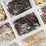 森林裡、步道旁，隨處可見的枯枝落葉、樹幹、樹皮，在透過仔細(xì)觀察各式昆蟲的型態(tài)與構(gòu)造，就能製作出帶有童趣的植物昆蟲。