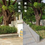 「幫近20棵的茄苳樹換新家」－因原有的花臺過小，喬木生長空間有限，新業(yè)團隊重新打造舒適的巢穴。