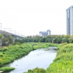 與家族相聚於西屯路永安橋的筏子溪，即將在此展開一場(chǎng)意義非凡的生態(tài)保育行動(dòng)。