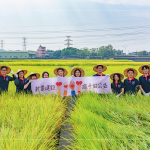 邁入第14年的契作認(rèn)養(yǎng)，以友善農(nóng)法耕作，保障農(nóng)友收益也為環(huán)境留下良田。