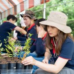 確切的紀(jì)錄樹苗品種及分盆日期，分盆完的小樹苗會(huì)統(tǒng)一放在中央培育區(qū)，待長(zhǎng)到30CM至1M再種到大肚山。