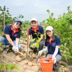 新業(yè)建設(shè) 邱正光 副總經(jīng)理(圖中)攜手各部門同仁，益起為大肚山森林當(dāng)起生態(tài)志工。