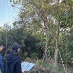 以緞帶為記，牽起『烏臼』與『大塊藏硯』的緣分，靜待時機，在新的落腳處，延續(xù)自然與人文之間的美好記憶。