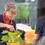 當天換盆樹種之一的山芙蓉，又稱三醉芙蓉，需要強日照，且耐旱，在開花後的一天之中，會有三種顏色變化，像是表情善變的美人。