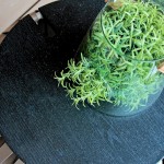 玻璃盆栽盛滿著盎然的綠意，悄悄向外蔓延，不妨期待著這株綠意在某一天帶給你的驚喜。