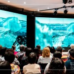 冰島沙灘上躺滿了大小形狀不一的冰塊，像極了鑽石，晶瑩剔透、藍(lán)白相間，從冰河母體崩解，流落到冰河湖再漂向大海，流連在海岸線上，古老冰河的遺骸，年歲比陸地上最古老的神木都要老上百萬倍。