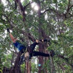 樹(shù)林中的「蜘蛛人」，利用腳鎖式（Footlock）快速攀升到切點(diǎn)，時(shí)而擺盪、時(shí)而穿梭林間，其中技巧有著大大學(xué)問(wèn)。