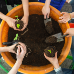 復育森林，並非將樹種滿，而是選擇適地適種的原生種，透過 ＃樹苗培育，達到生態(tài)平衡，維持生物多樣性。