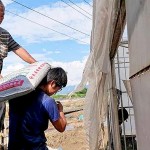 上一代承接給年輕小農(nóng)的，並不是土耙鋤頭，必須從零開始做起，從一袋袋肥料開始扛起。堅持盡可能讓肥料灑得剛剛好，適量不過量，讓土地更有永續(xù)發(fā)展的餘裕，以善念回應(yīng)給土地。