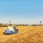 放眼望去猶如金黃稻浪，結(jié)綴累累的稻穗是農(nóng)民們辛勤付出的最美風(fēng)景。