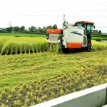 一粥一飯，當(dāng)思來處不易，所扒進(jìn)嘴裡的每一口飯，我們都能想見：此刻，樂天的農(nóng)民正以著最樸實(shí)的笑容，來迎接稻田每一天的欣欣向榮。