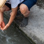 用清水將雙腳洗淨(jìng)，感受大自然的洗禮，就像是一場(chǎng)踏入自然界的感官之旅。