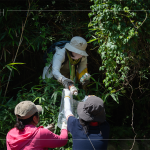 帶上夾子、爬上邊坡，草堆之間可以明確看到這些待清除的「不塑之客」，唯有仔細(xì)尋覓，才能還給河川與自然乾淨(jìng)的家園。