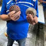 專業(yè)磨石材「造型師」登場！左邊的工具適合硬度較高的花崗巖，右邊則適合切割硬度較軟的大理石，儼然已經(jīng)摸清石材的脾氣與習(xí)性，不同石材也需要不同的工具處理。