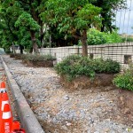 舊有人行道拆除工程，新業(yè)保留原有的樹穴，還給喬木更多的生長空間，美化的同時也善待環(huán)境。