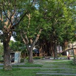 綠意盎然的臺(tái)中文學(xué)館，有近百株繁盛花草樹(shù)木，環(huán)繞日式時(shí)代的百年建築，有著說(shuō)不完、道不盡的人文歷史，不妨親自巡禮一番。