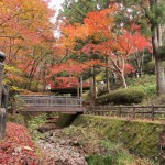 山號「一乘山」的根來寺，美景俯拾即是，滿園的楓紅落葉紅了南紀的秋天。
