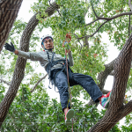 接獲攀樹挑戰(zhàn)的大人們，不惶多讓直攀樹稍，近距離欣賞樹冠的雄偉壯麗