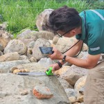 特別挑選顏色鮮豔的『黃金角石』，鋪墊後院生態(tài)水池的底部，即使是一顆顆石頭的規(guī)劃，也需要適居適所。