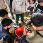 荒野保護協(xié)會總顧問-林笈克親臨現(xiàn)場，特地下溪捕撈小魚，有原生種鯽魚、吳郭魚、紅魔鬼等，不僅讓大小朋友認識牠們，也更加了解筏子溪的多元生態(tài)，並於結束時將這些小魚們放回屬於牠們的家園。