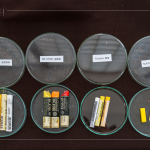 除了油畫棒，講師當天還攜帶了其他的創(chuàng)作媒材，並分享各款媒材的成分差異與使用差異，讓創(chuàng)作者日後更能輕易分辨媒材。