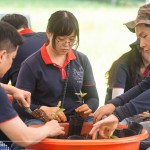 透過(guò)植樹活動(dòng)落實(shí)減碳淨(jìng)零的計(jì)畫，新業(yè)希望以行動(dòng)展現(xiàn)對(duì)這片寶島土地的關(guān)懷，齊心打造綠色永續(xù)環(huán)境。