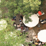 森林裡的春日漫遊，在陽(yáng)光下放鬆身心，沿著小徑慢慢散步，靜靜地為自己充電，收集生活中的簡(jiǎn)單美好。