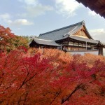 楓紅灑落，一片紅海蔓延至東福寺通天閣，一片靜謐彷若與世無爭的世外桃源。