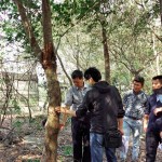 樹形整體飽滿度、分枝錯(cuò)落的方向，360°觀看下是否皆能達(dá)成美的平衡等皆是新業(yè)選樹的考量。